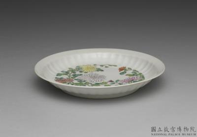 图片[2]-Plate with chrysanthemum decoration in falangcai enamels, Qing dynasty, Yongzheng reign (1723-1735)-China Archive